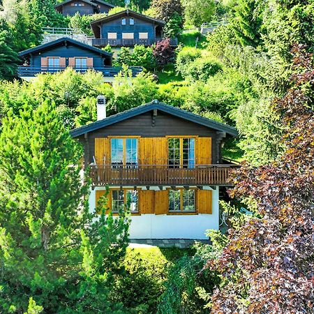 Chalet Magicien By Interhome Nendaz Εξωτερικό φωτογραφία