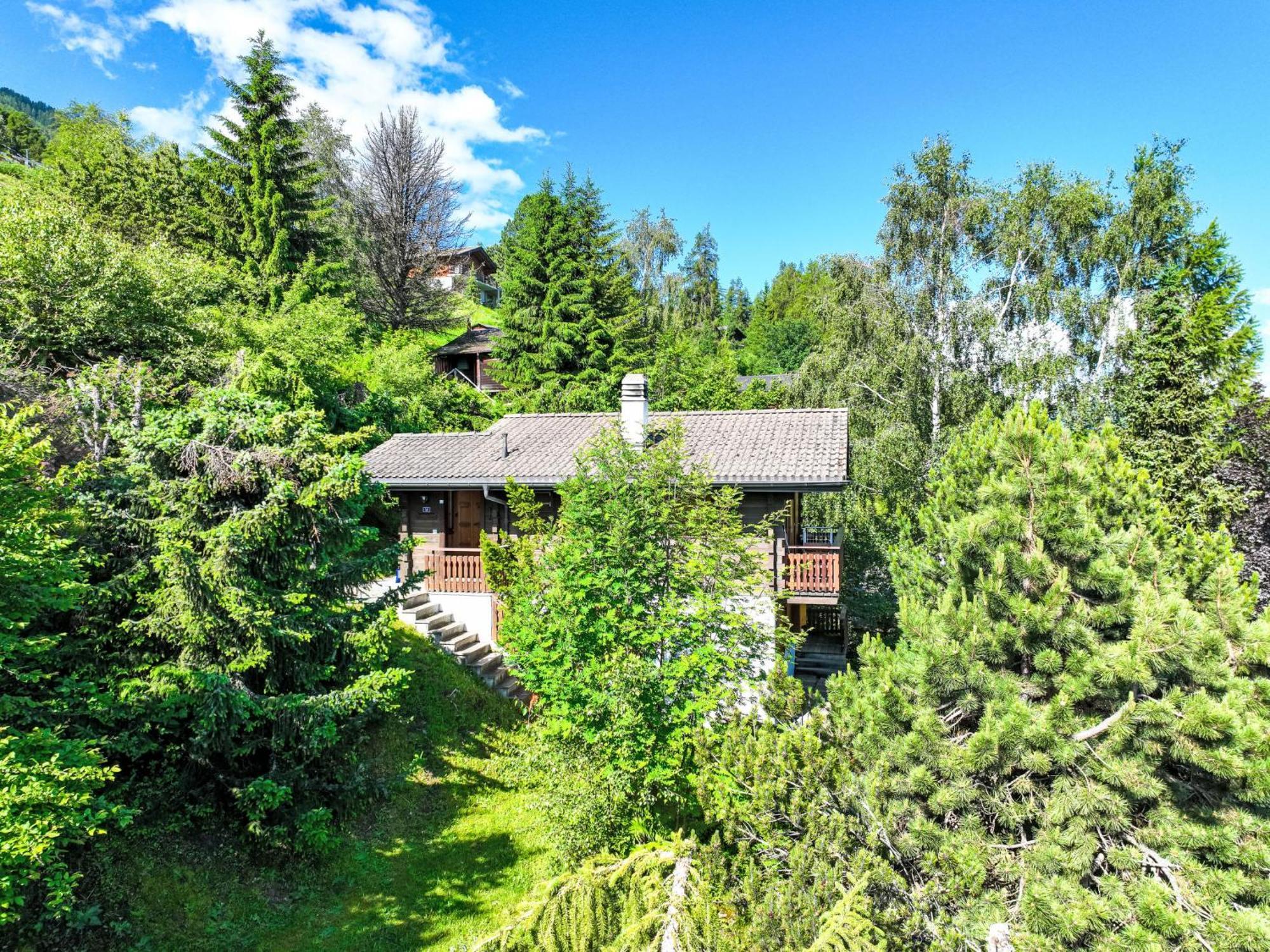 Chalet Magicien By Interhome Nendaz Εξωτερικό φωτογραφία