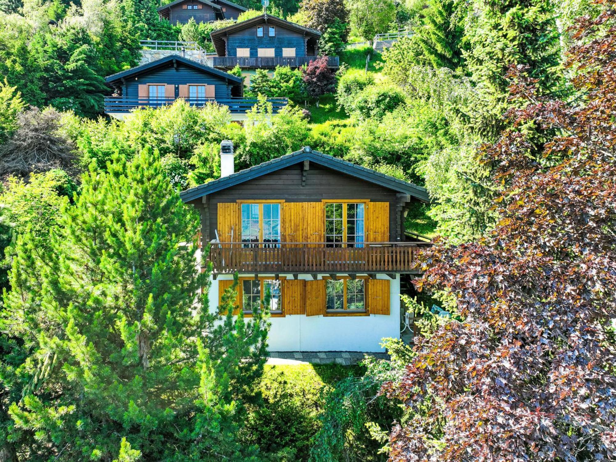 Chalet Magicien By Interhome Nendaz Εξωτερικό φωτογραφία